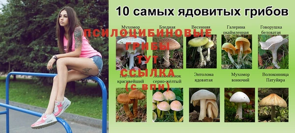 синтетический гашиш Алзамай