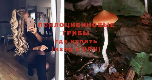 мет Арсеньев