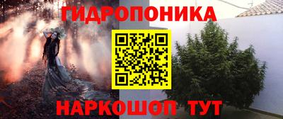 СК Обнинск