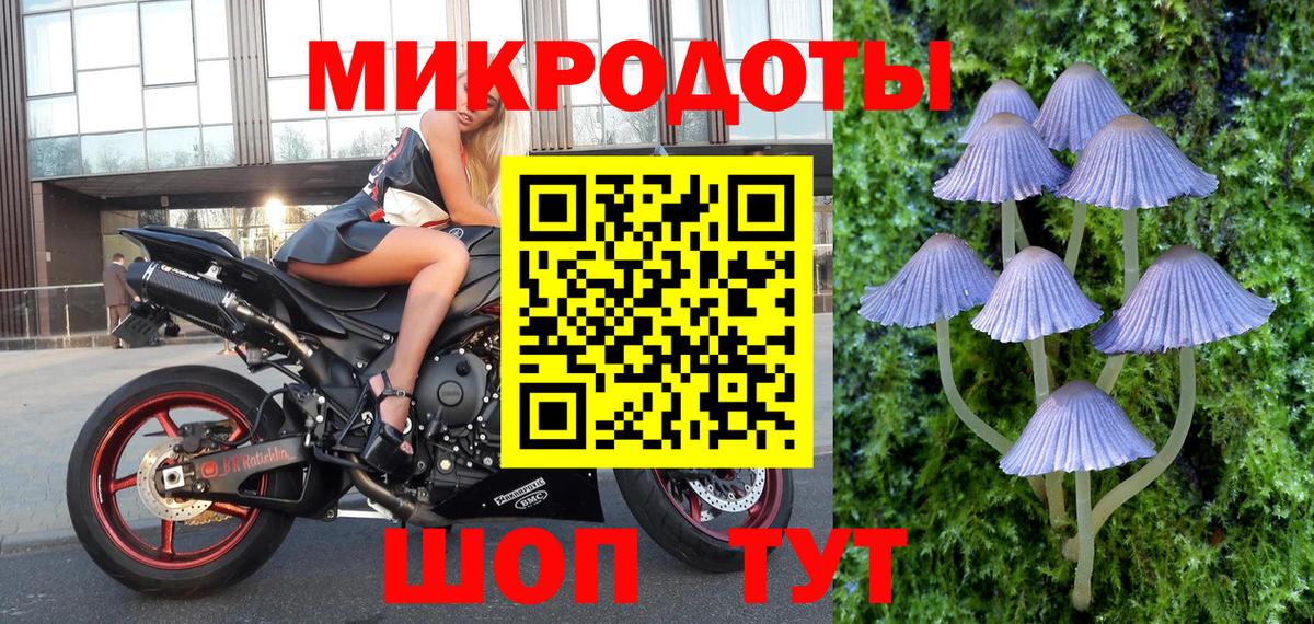 Псилоцибиновые грибы мухоморы Обнинск